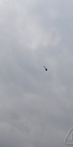 2012 Suche Mirek Topinka